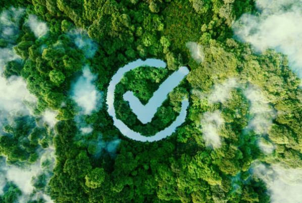 Environmental sustainability and eco-friendly solutions